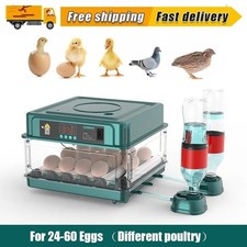 24-60 Eggs Double Electric Incubator Fully Automatic Chicken Duck Egg Hatcher
