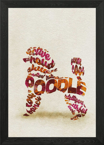 Poodle caniche dog - -, typo