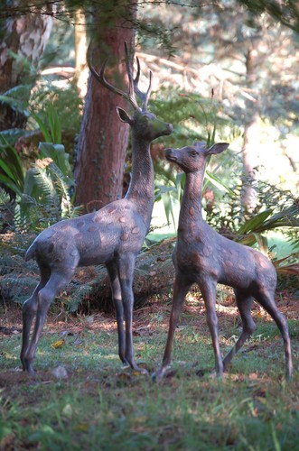 Extra large deer - extra, /