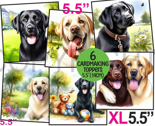 Card toppers 5 - 6,