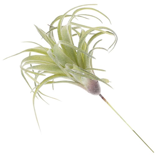 Artificial flower home - artificial,