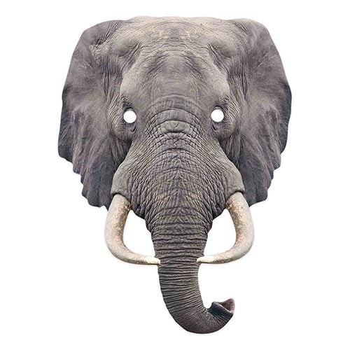Elephant animal cardboard face - animal,