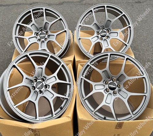 Grey rotiform zmo - grey,