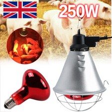 INFRA RED HEAT LAMP & BULB