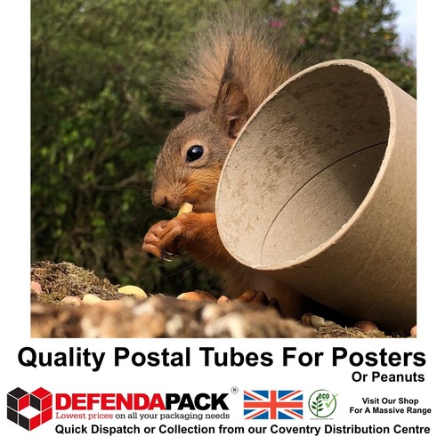 Postal tubes wide - 3", diameter