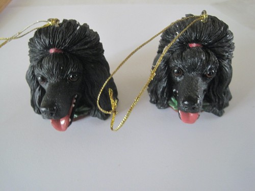 Dog poodle head - dog, black