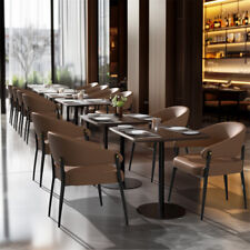 Set of 2 Dining Chairs Padded Sloped Backrest Dining Room Chairs Hotel Cafe Seat