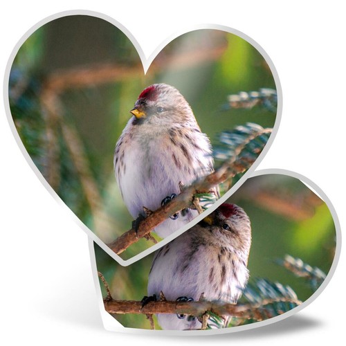 Heart stickers cm - x,