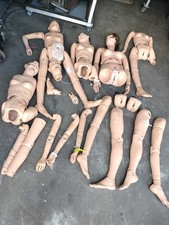 Nasco Life Form LF04020