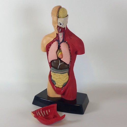 Humbrol human figurine - human, –