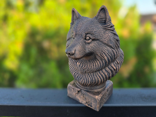 Keeshond bust - keeshond,