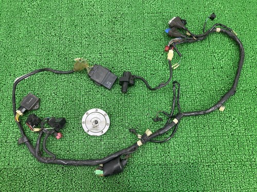 Cbr1100xx main harness - cbr1100xx,