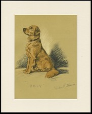 GOLDEN RETRIEVER VINTAGE DOG