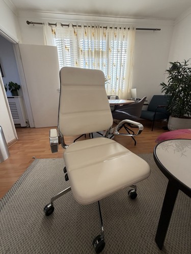 Executive office chair - executive,