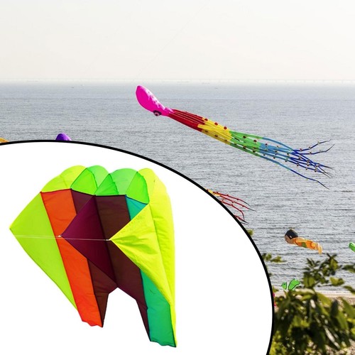 Kite multicolor childhood - 3d,