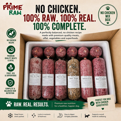 Chicken allergy mix raw - chicken,