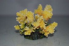 Detailed Aquarium Coral Reef