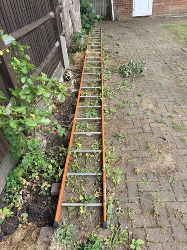 Fibreglass scaffold ladder - fibreglass,
