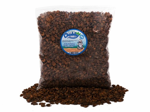 5kg dried silkworm - silkworm, for
