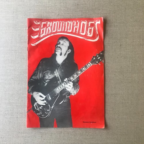 The groundhogs concert - groundhogs, in