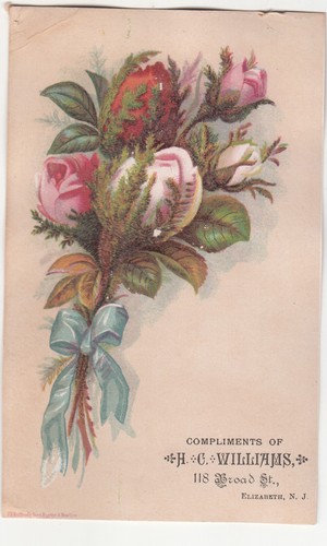Williams elizabeth nj - nj, posy