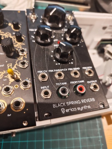 Erica synths black - black, spring