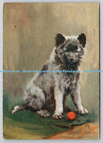 R759095 the keeshond godfrey - keeshond,