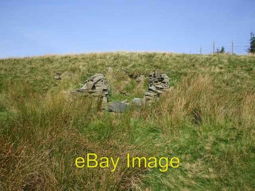 Photo 6x4 sheep shelter - photo,