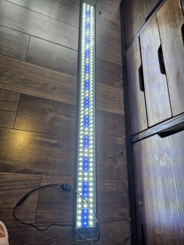 Aquarien eco 6ft led aquarium - aquarien,