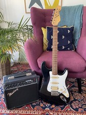 Vintage Sunn Mustang