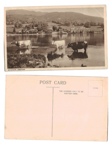 Vintage postcard waterhead - -,