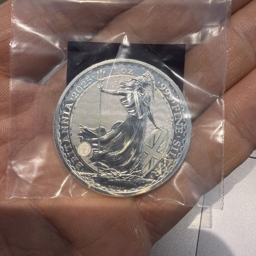 2025 1oz silver - 2025,