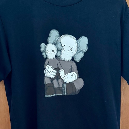 Kaws uniqlo companion - x,