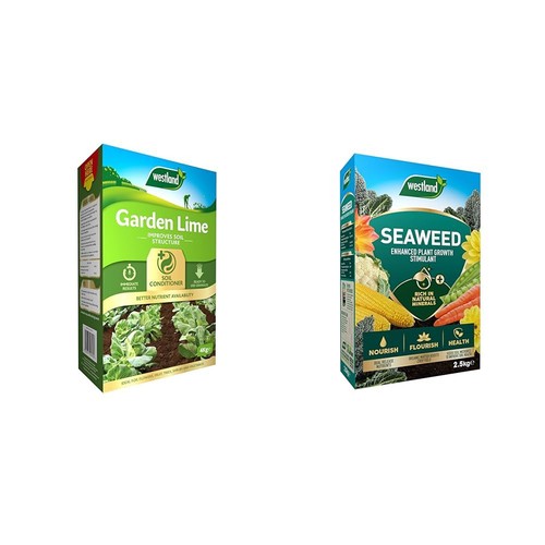 Westland 20600101 garden - westland, lime