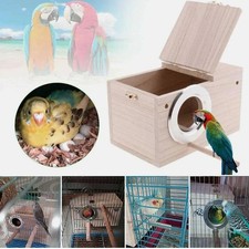 Parrot Budgie Lovebirds Wooden