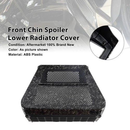 Lower chin spoilers radiator - lower,