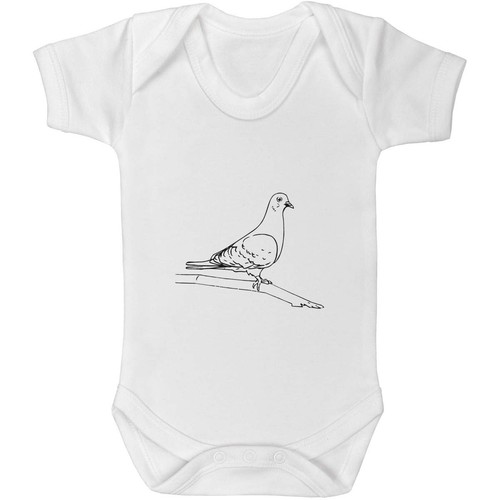 Pigeon branch baby - 'pigeon, on