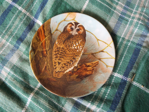Coalport tawny owl stack - "tawny, (stack