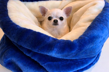 Small snuggle sack, covered