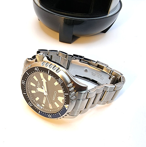 Citizen fugu promaster - promaster, dive
