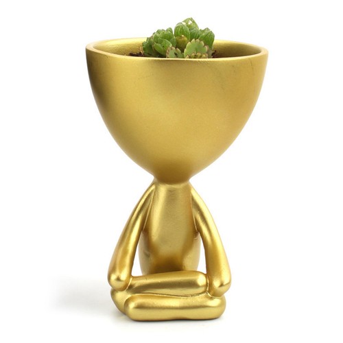 Succulent planter decorative - succulent,