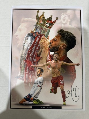 Signed adam lallana - lallana, 3
