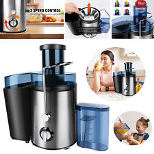 Small Fruit Juicer Fresh Juice