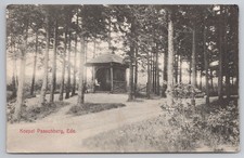 Netherlands Ede Koepel Paaschberg Thatched Gazebo in Woods Postcard c.1910