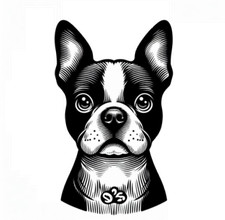 Personalised Dog Chopping