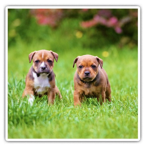 Square stickers cm - 10,