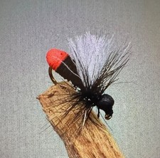 2 x Red butt ant #12