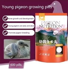 Racing Pigeons  Everything a Young Pigeon Need Power Virus Bones Feather Muscle 