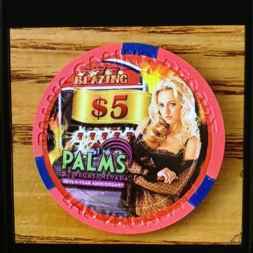 Year anniversary 5 palms - 7,