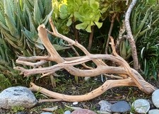 Set Of 2 Large Driftwood